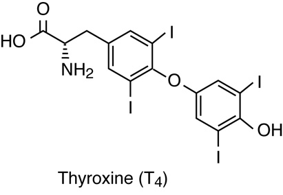 The structure of thyroxine
