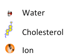Key to video showing water, cholesterol, and ion molecules