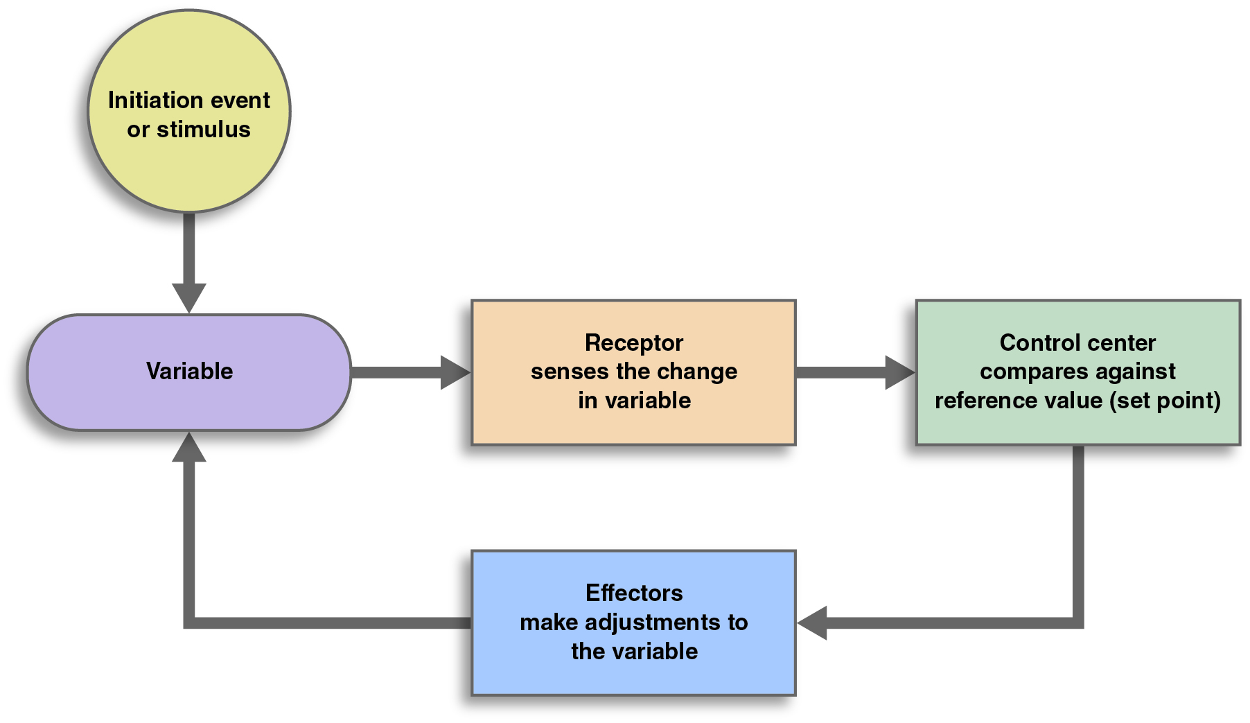 feedback flowchart