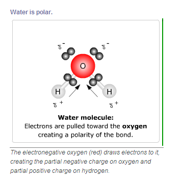 biochem bonding water