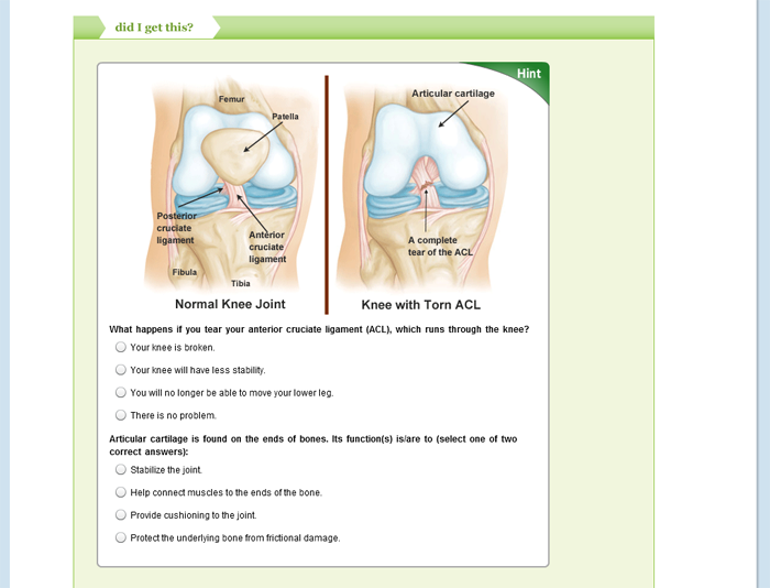 human anatomy and physiology degree