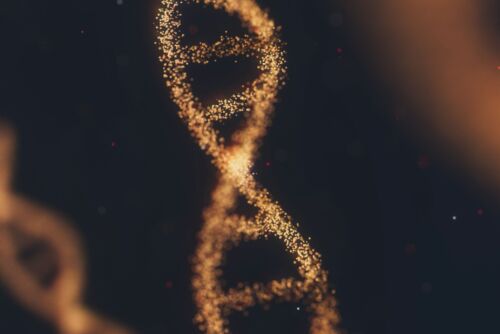 Life Sciences (independent learners)